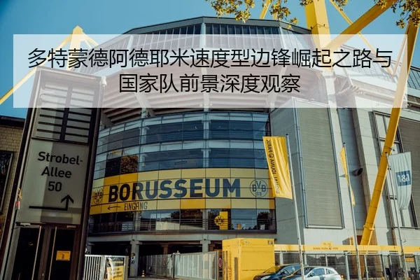 多特蒙德阿德耶米速度型边锋崛起之路与国家队前景深度观察